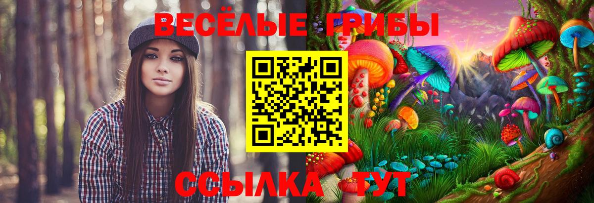 Галлюциногенные грибы Cubensis  Вход с VPN  Псилоцибиновые грибы Psilocybe  Пенза 