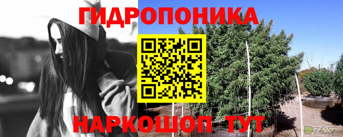 Каннабис гибрид Пенза